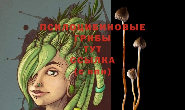 марихуана Богородицк