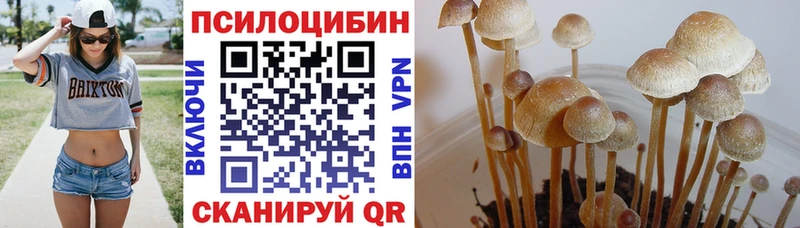 Псилоцибиновые грибы прущие грибы  Козьмодемьянск 